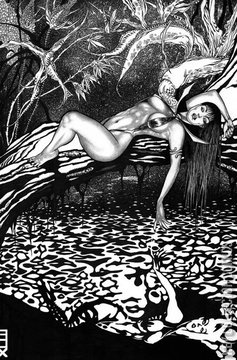 Variant Cover for Vampirella vs. Purgatori #5