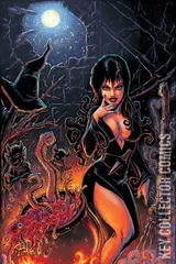 Variant Cover for Elvira: Mistress of the Dark #9