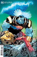Variant Cover for Metal Men #12