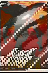 Variant Cover for Black Panther #1