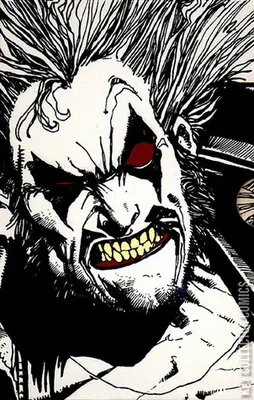 Lobo Slipcase Collection