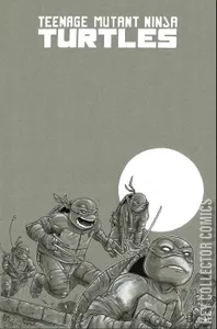 Teenage Mutant Ninja Turtles #100