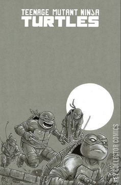 Variant Cover for Teenage Mutant Ninja Turtles #100