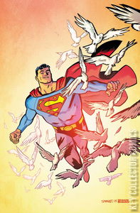 Superman #19