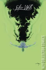 Cover for Sulfur Wells #6