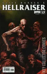 Cover for Hellraiser #17