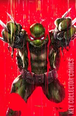 Variant Cover for Teenage Mutant Ninja Turtles #132