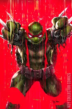 Variant Cover for Teenage Mutant Ninja Turtles #132