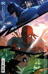 Robin #13