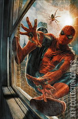 Variant Cover for Amazing Spider-Man #1