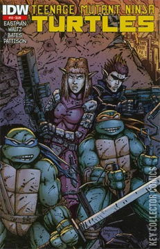 Variant Cover for Teenage Mutant Ninja Turtles #19
