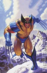 Variant Cover for Wolverine: Madripoor Knights #2