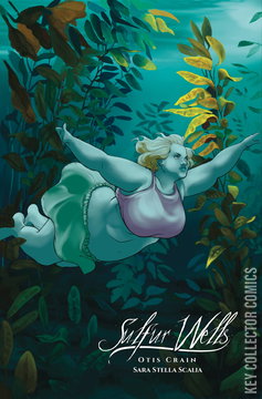 Variant Cover for Sulfur Wells #3