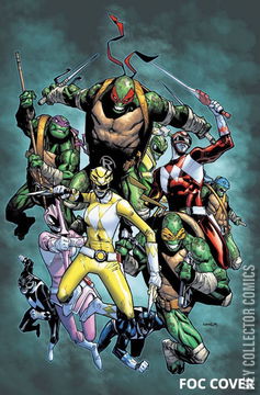 Variant Cover for Mighty Morphin Power Rangers / Teenage Mutant Ninja Turtles #2