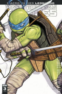 Variant Cover for Teenage Mutant Ninja Turtles Macro-Series #3
