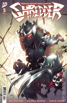Variant Cover for Teenage Mutant Ninja Turtles: Shredder #5