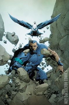 Variant Cover for SilverHawks #8