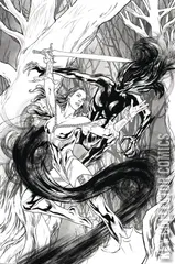 Variant Cover for Grimm Fairy Tales #40