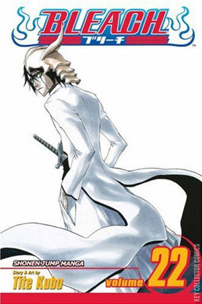 Cover art for Bleach #22