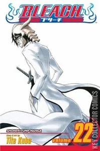 Bleach #22