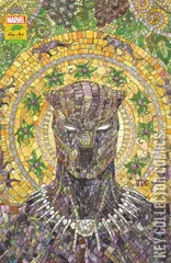 Cover for Black Panther #25