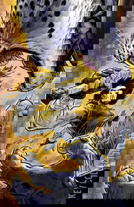 Teenage Mutant Ninja Turtles: Casey Jones