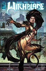Cover for Witchblade #14