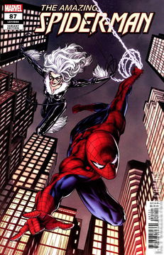Variant Cover for Amazing Spider-Man #87