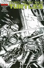 Cover for Teenage Mutant Ninja Turtles #20