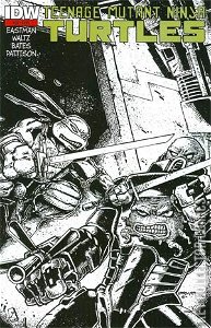 Teenage Mutant Ninja Turtles #20