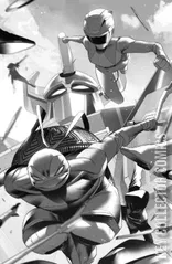 Variant Cover for Mighty Morphin Power Rangers / Teenage Mutant Ninja Turtles #1