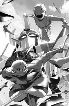 Variant Cover for Mighty Morphin Power Rangers / Teenage Mutant Ninja Turtles #1