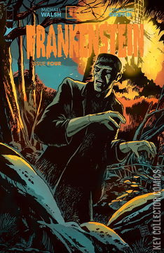 Variant Cover for Universal Monsters: Frankenstein #4