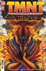Cover for Teenage Mutant Ninja Turtles: Journeys #11