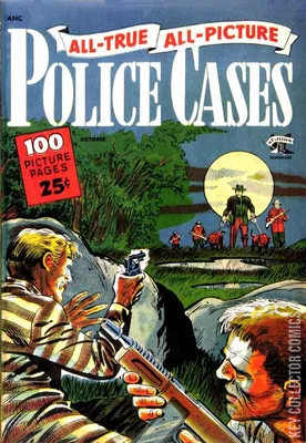 All-True All-Picture Police Cases