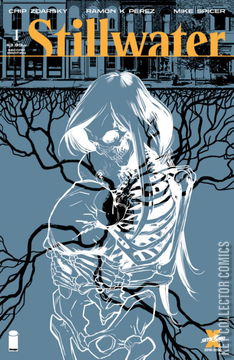 Variant Cover for Stillwater #1