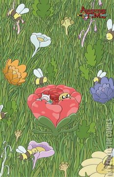 Variant Cover for Adventure Time #27