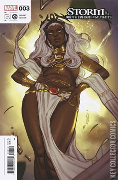 Variant Cover for Storm and the Brotherhood of Mutants #3