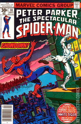 Peter Parker: The Spectacular Spider-Man