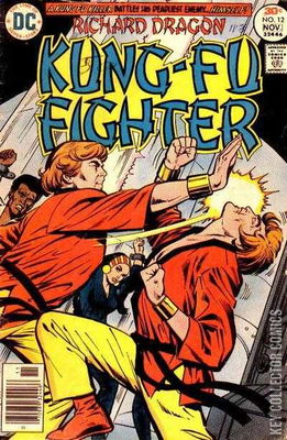 Richard Dragon's Kung-Fu Fighter