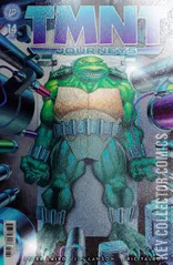Cover for Teenage Mutant Ninja Turtles: Journeys #14