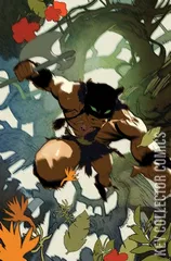 Variant Cover for Fire and Ice: Darkwolf #1