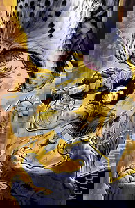 Teenage Mutant Ninja Turtles: Casey Jones #6