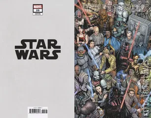 Cover for Star Wars #25