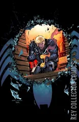 Variant Cover for Venom #29
