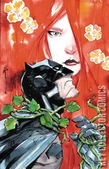 Cover for Batman #13