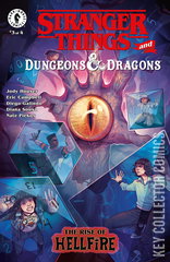 Variant Cover for Stranger Things / Dungeons & Dragons - Rise of Hellfire #3