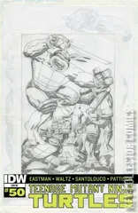 Variant Cover for Teenage Mutant Ninja Turtles #50