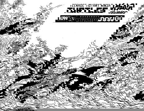 Variant Cover for Teenage Mutant Ninja Turtles / Usagi Yojimbo: WhereWhen #3