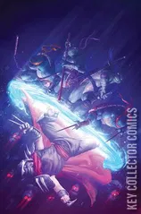 Cover for Teenage Mutant Ninja Turtles: Splintered Fate #1